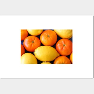 Oranges and Lemons Posters and Art